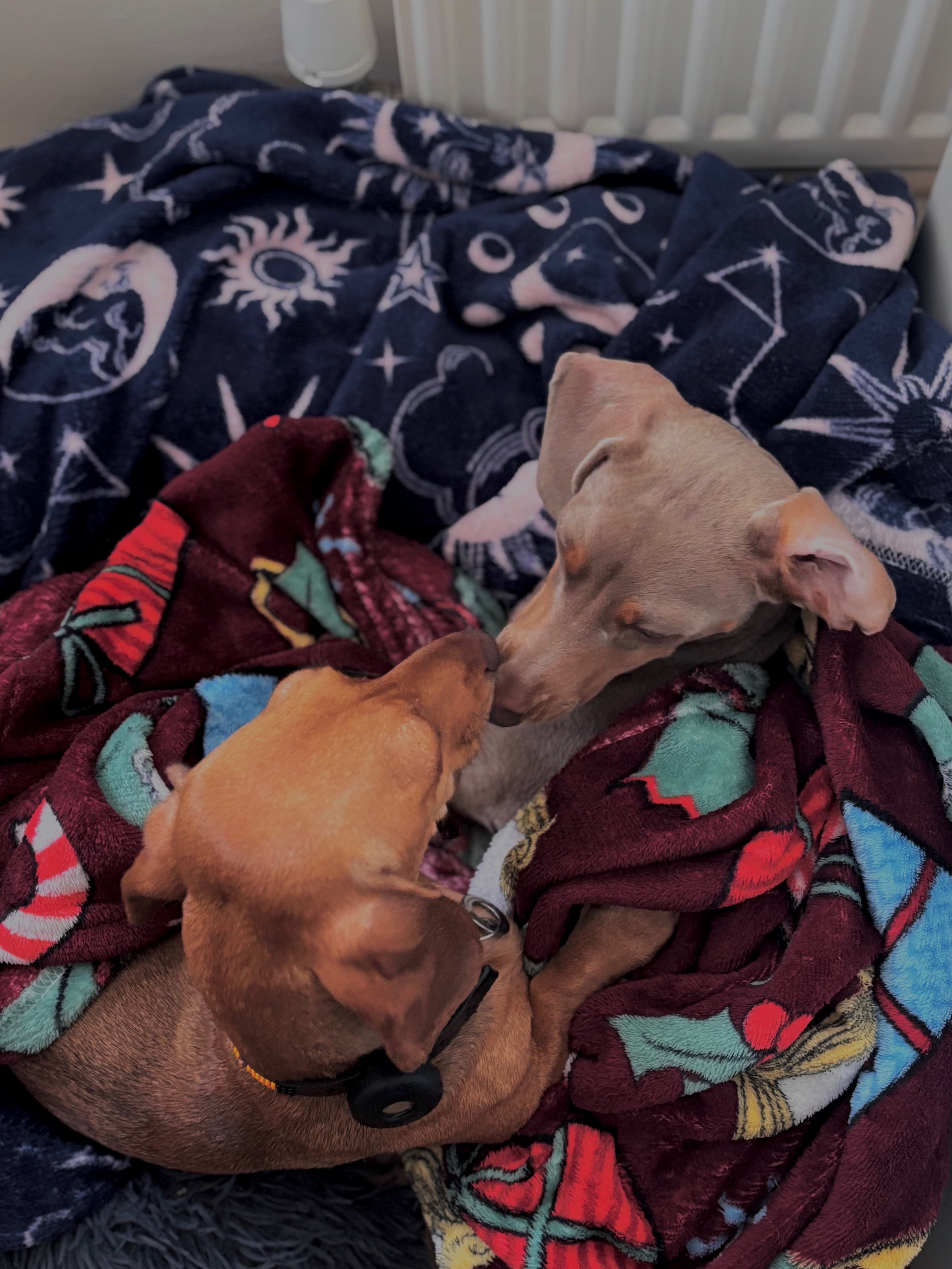 First sleepover