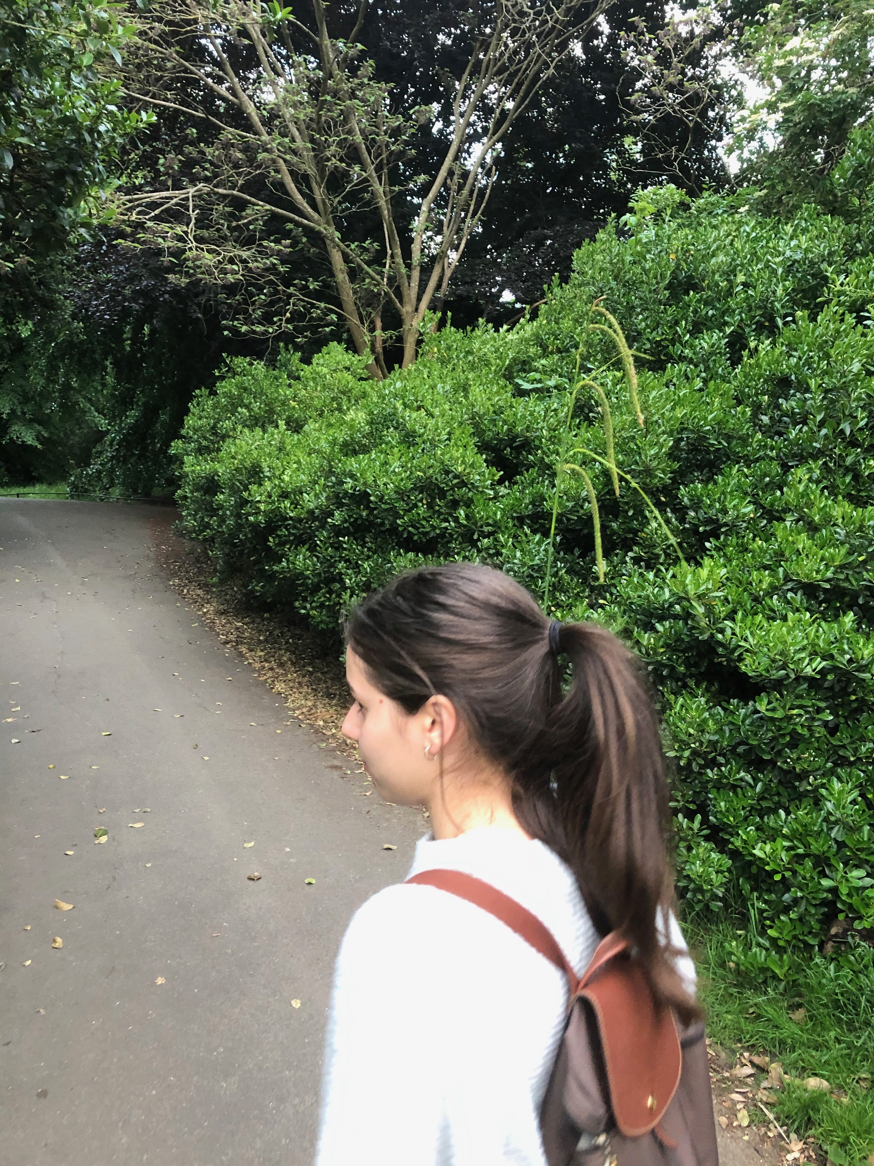 Mornings, leashes in hand